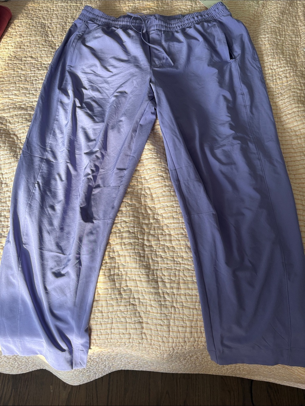 Athleta Men's Lavender Drawstring Joggers